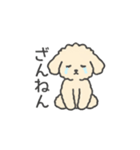 落書き風トイプー アプリコット(日常会話)（個別スタンプ：23）