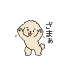 落書き風トイプー アプリコット(日常会話)（個別スタンプ：26）