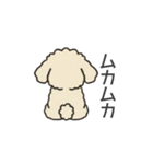 落書き風トイプー アプリコット(日常会話)（個別スタンプ：27）