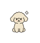 落書き風トイプー アプリコット(日常会話)（個別スタンプ：28）