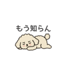 落書き風トイプー アプリコット(日常会話)（個別スタンプ：29）