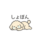 落書き風トイプー アプリコット(日常会話)（個別スタンプ：31）