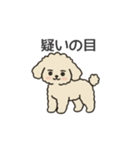 落書き風トイプー アプリコット(日常会話)（個別スタンプ：33）