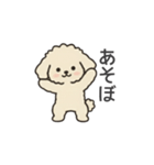 落書き風トイプー アプリコット(日常会話)（個別スタンプ：38）