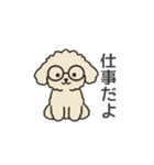 落書き風トイプー アプリコット(日常会話)（個別スタンプ：39）