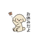落書き風トイプー アプリコット(日常会話)（個別スタンプ：40）
