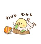 部屋着・パジャマなインコ（個別スタンプ：2）