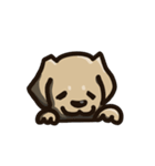 ダップーのあ君（個別スタンプ：3）