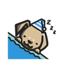 ダップーのあ君（個別スタンプ：5）