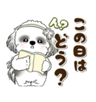 B＆Wシーズー犬 2025 「約束・待ち合わせ」（個別スタンプ：1）