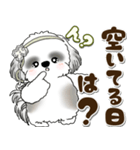 B＆Wシーズー犬 2025 「約束・待ち合わせ」（個別スタンプ：2）