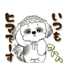 B＆Wシーズー犬 2025 「約束・待ち合わせ」（個別スタンプ：4）