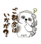 B＆Wシーズー犬 2025 「約束・待ち合わせ」（個別スタンプ：5）