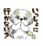 B＆Wシーズー犬 2025 「約束・待ち合わせ」（個別スタンプ：6）