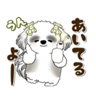 B＆Wシーズー犬 2025 「約束・待ち合わせ」（個別スタンプ：8）