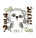 B＆Wシーズー犬 2025 「約束・待ち合わせ」（個別スタンプ：9）