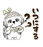 B＆Wシーズー犬 2025 「約束・待ち合わせ」（個別スタンプ：10）