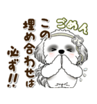 B＆Wシーズー犬 2025 「約束・待ち合わせ」（個別スタンプ：11）