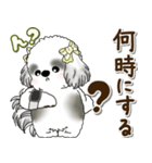 B＆Wシーズー犬 2025 「約束・待ち合わせ」（個別スタンプ：14）