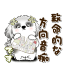 B＆Wシーズー犬 2025 「約束・待ち合わせ」（個別スタンプ：15）