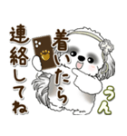 B＆Wシーズー犬 2025 「約束・待ち合わせ」（個別スタンプ：17）