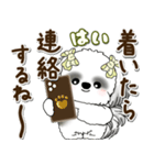 B＆Wシーズー犬 2025 「約束・待ち合わせ」（個別スタンプ：18）