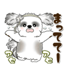 B＆Wシーズー犬 2025 「約束・待ち合わせ」（個別スタンプ：20）