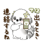 B＆Wシーズー犬 2025 「約束・待ち合わせ」（個別スタンプ：21）