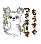 B＆Wシーズー犬 2025 「約束・待ち合わせ」（個別スタンプ：23）