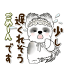 B＆Wシーズー犬 2025 「約束・待ち合わせ」（個別スタンプ：24）