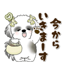 B＆Wシーズー犬 2025 「約束・待ち合わせ」（個別スタンプ：26）