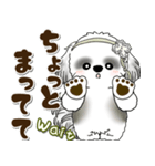 B＆Wシーズー犬 2025 「約束・待ち合わせ」（個別スタンプ：27）