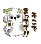 B＆Wシーズー犬 2025 「約束・待ち合わせ」（個別スタンプ：28）