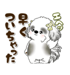 B＆Wシーズー犬 2025 「約束・待ち合わせ」（個別スタンプ：29）