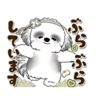 B＆Wシーズー犬 2025 「約束・待ち合わせ」（個別スタンプ：30）