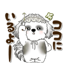 B＆Wシーズー犬 2025 「約束・待ち合わせ」（個別スタンプ：32）