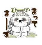 B＆Wシーズー犬 2025 「約束・待ち合わせ」（個別スタンプ：33）