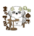 B＆Wシーズー犬 2025 「約束・待ち合わせ」（個別スタンプ：34）