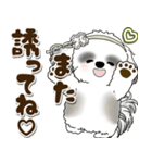 B＆Wシーズー犬 2025 「約束・待ち合わせ」（個別スタンプ：39）