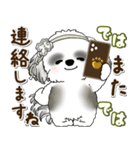 B＆Wシーズー犬 2025 「約束・待ち合わせ」（個別スタンプ：40）