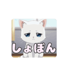 白猫ちゃんアニメーション（個別スタンプ：6）