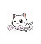 白猫ちゃんアニメーション（個別スタンプ：8）