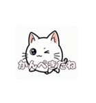 白猫ちゃんアニメーション（個別スタンプ：11）