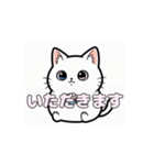 白猫ちゃんアニメーション（個別スタンプ：13）