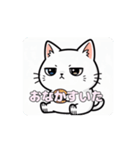 白猫ちゃんアニメーション（個別スタンプ：15）