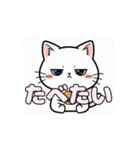 白猫ちゃんアニメーション（個別スタンプ：16）