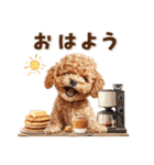 毎日つかえる♪癒しトイプードル（個別スタンプ：1）