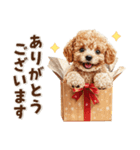 毎日つかえる♪癒しトイプードル（個別スタンプ：11）