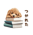 毎日つかえる♪癒しトイプードル（個別スタンプ：16）