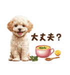 毎日つかえる♪癒しトイプードル（個別スタンプ：19）